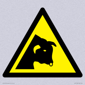 W034 Warning: Bull